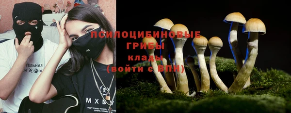 твердый Новозыбков