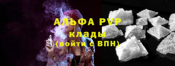 твердый Новозыбков