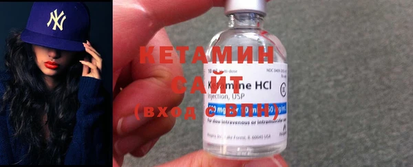 твердый Новозыбков