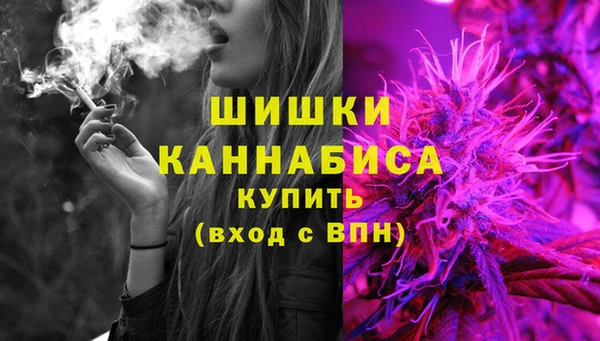 твердый Новозыбков