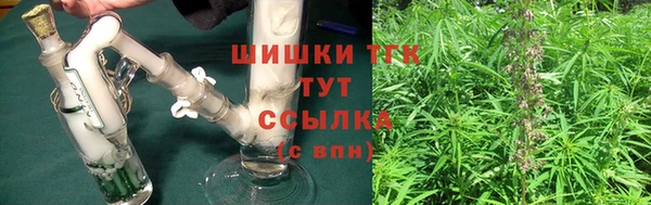 твердый Новозыбков