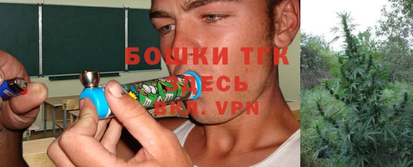 твердый Новозыбков