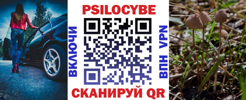 Псилоцибиновые грибы мухоморы  купить закладку  OMG зеркало  Острогожск 