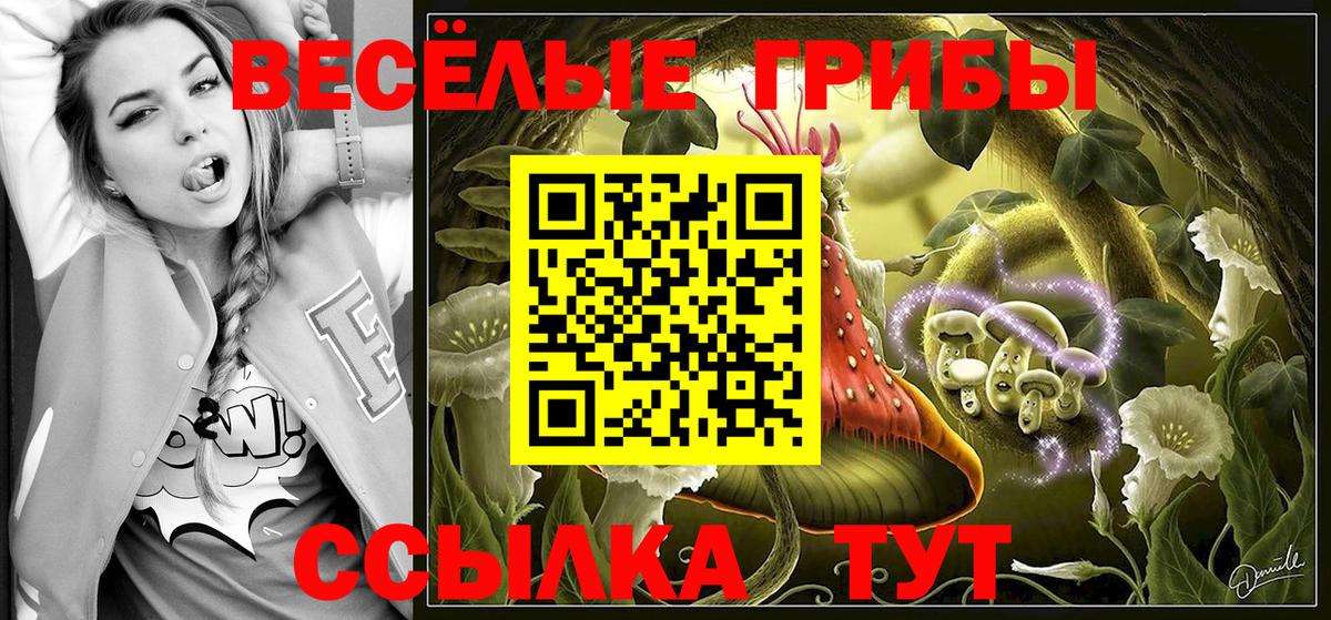 Галлюциногенные грибы прущие грибы Острогожск