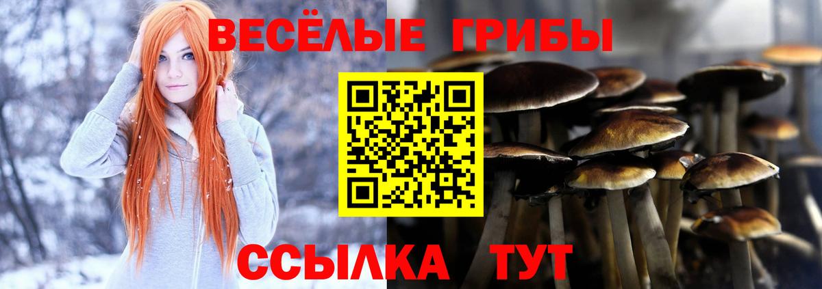 Острогожск  Галлюциногенные грибы прущие грибы  Вход с VPN 